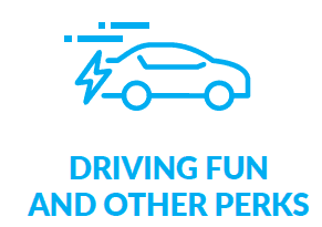 Driving Fun and other Perks Icon